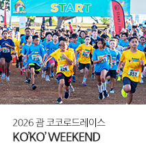 [기획전] 괌 코코로드레이스 기획전